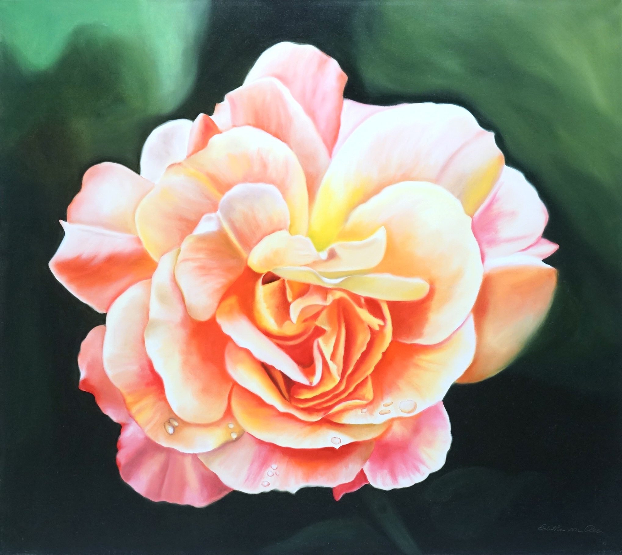 Editha von Clee (b.1940), oil on canvas, Study of a flower with water droplets, signed, 80 x 89cm, unframed